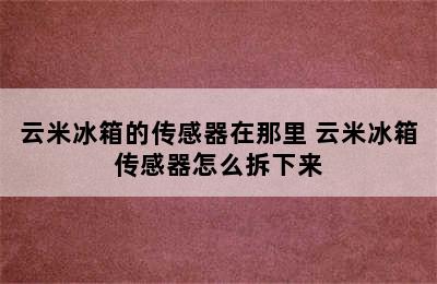 云米冰箱的传感器在那里 云米冰箱传感器怎么拆下来